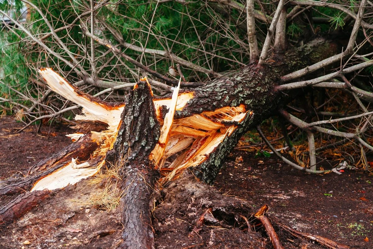 Catastrophes naturelles : Votre assurance habitation est-elle à la hauteur ?